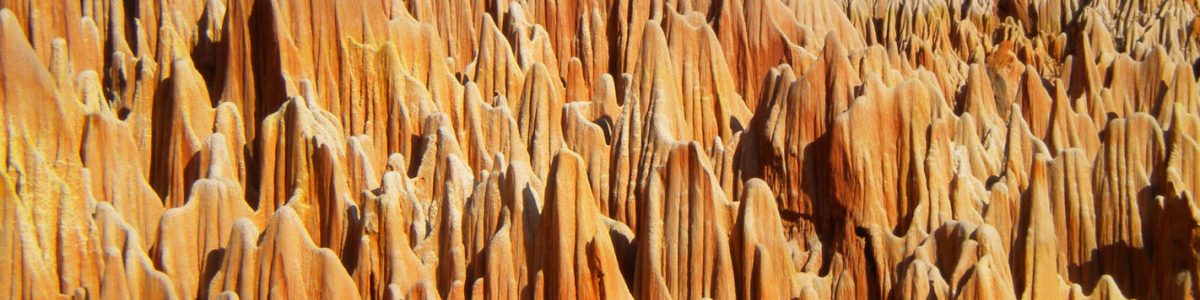 Madagascar 1127.Ankarongana.